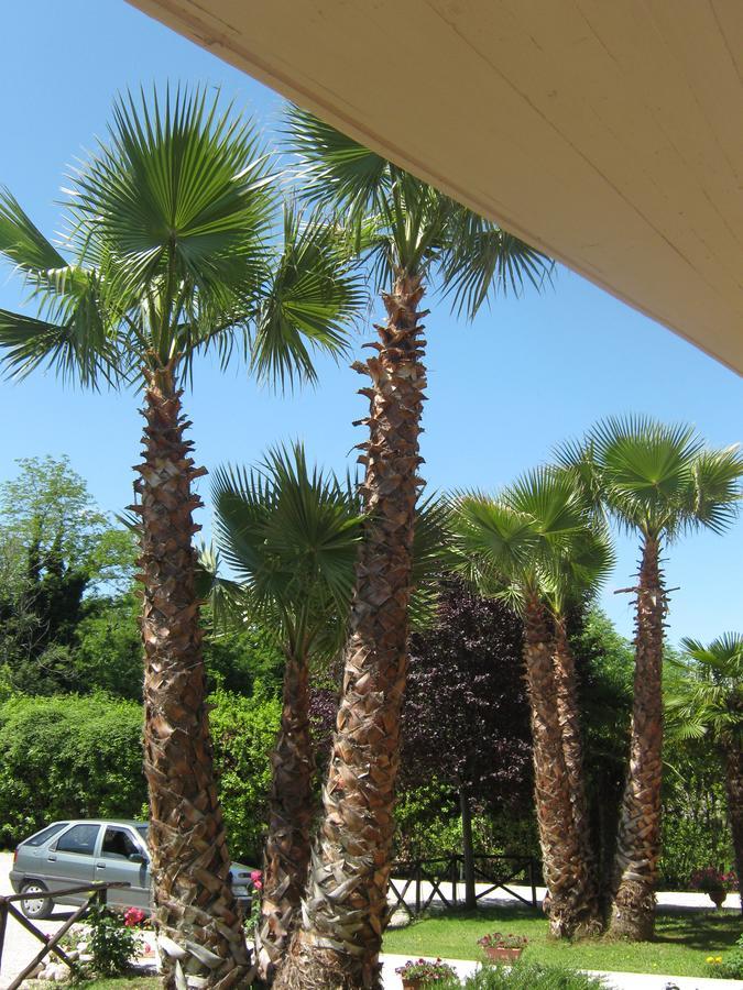 B & B Oasi Rosciano  Εξωτερικό φωτογραφία